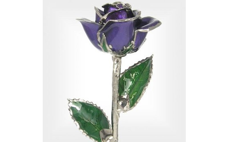 Silver Trimmed Rose: 11-Inch Purple Rose
