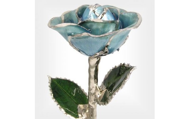 Silver Trimmed Light Blue 11-Inch Rose