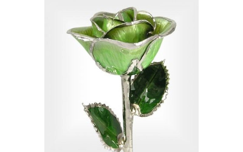 Silver Trimmed Rose: 11-Inch Light Green Rose