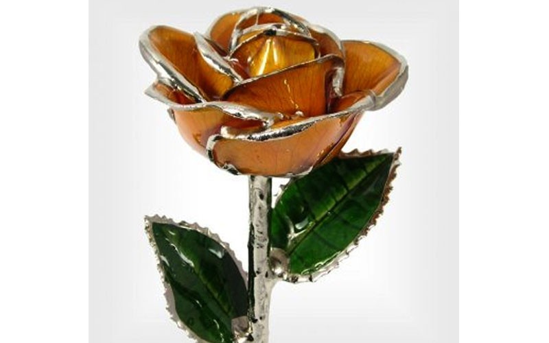 Silver Trimmed Rose: 11-Inch Peach Rose