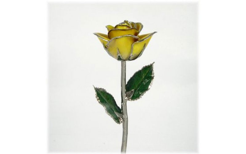 Silver Trimmed Rose: 11-Inch Yellow Rose
