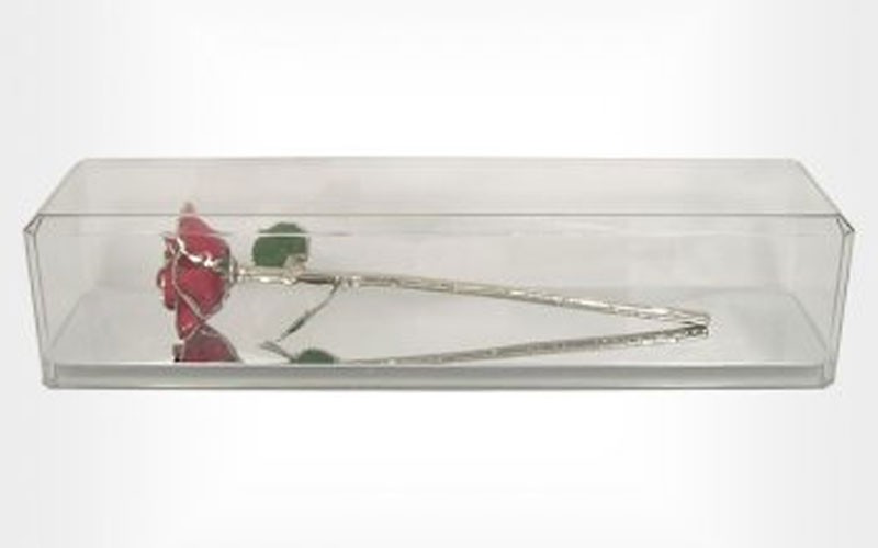 Silver Trimmed Rose in Museum Case