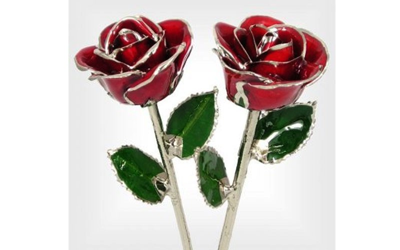 His and Her 11-Inch Silver Trim Roses