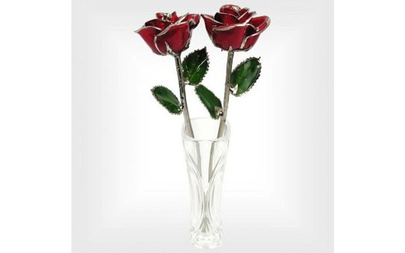 Two 11-Inch Silver Trim Roses in Princess Vase: 25th Anniversary Gift