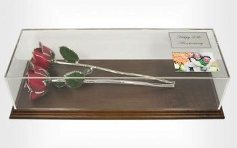 25th Anniversary Gift: 2 Silver Roses in Museum Case