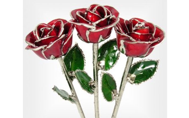 3 Past, Present, Future 11-Inch Silver Trimmed Roses