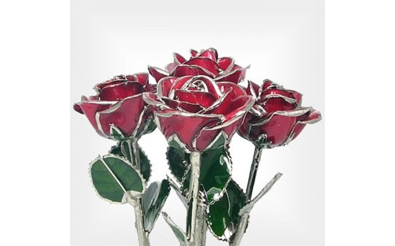 Silver Trimmed Roses: Half Dozen 11-Inch Rose Bouquet