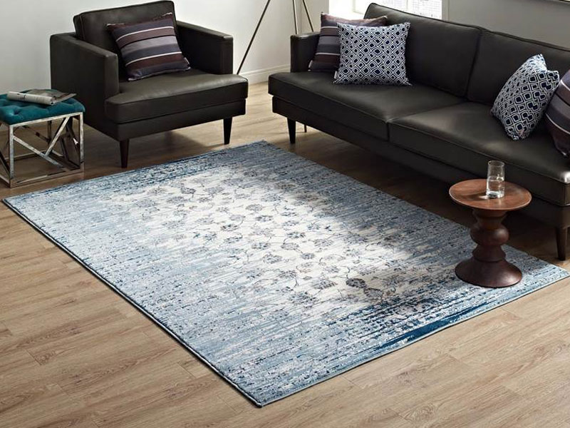 Chiara Distressed Floral Lattice Contemporary Area Rug