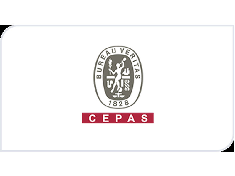 Cepas Data Privacy In Marketing