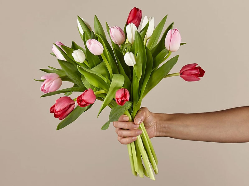 Budding Love Tulip Bouquet Original With Vase