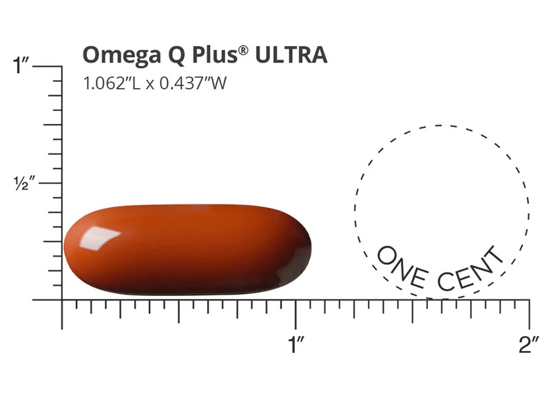 Omega Q Plus Ultra