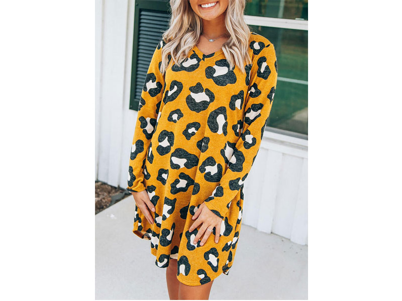 Women's Leopard V-Neck Long Sleeve Mini Dress