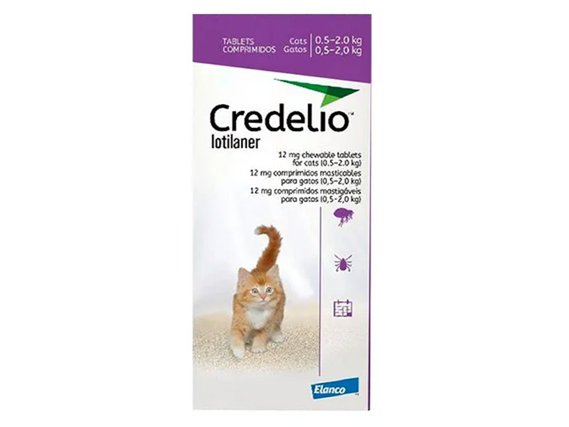 Credelio For Cats