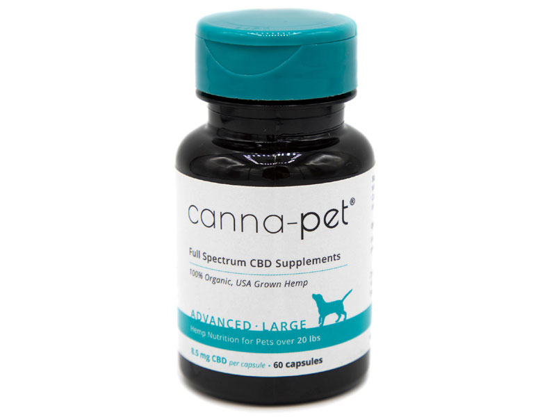 Canna-Pet Advanced Large 60 Count Capsules & One Box Of Advanced Biscuits