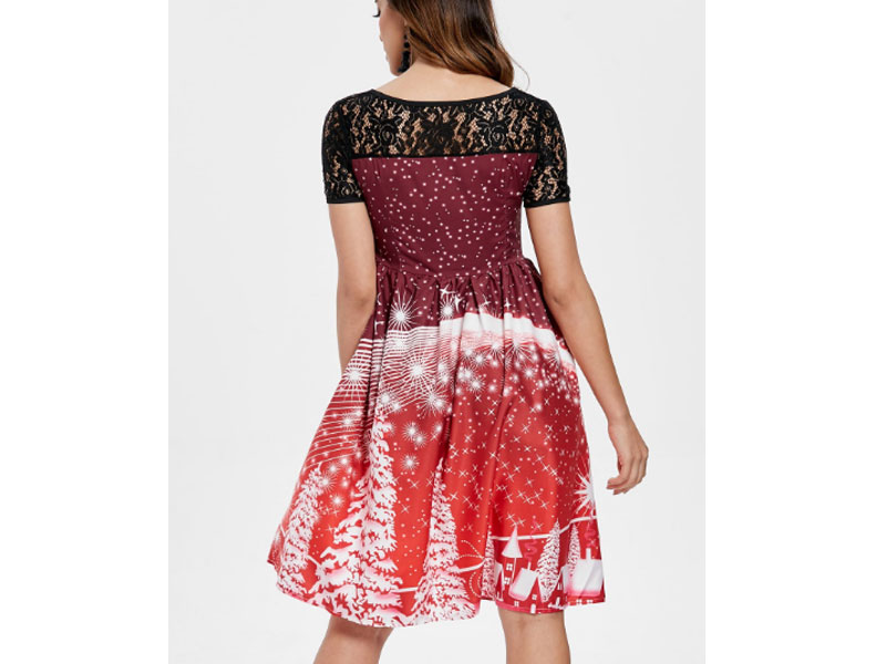 Women's Print Lace Panel Vintage Party Dress