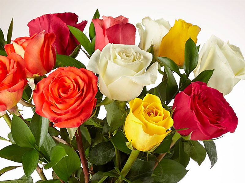 Mixed Roses with Vase