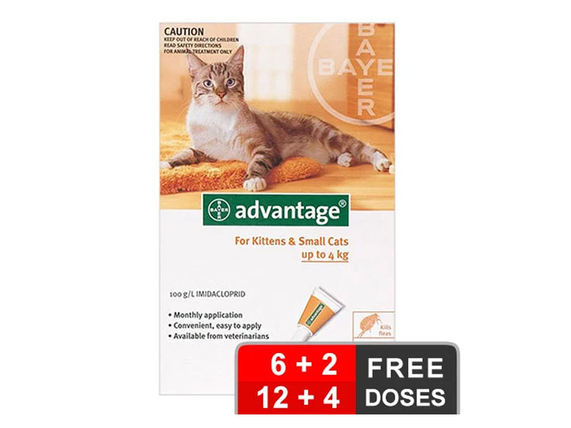 Advantage For Cats