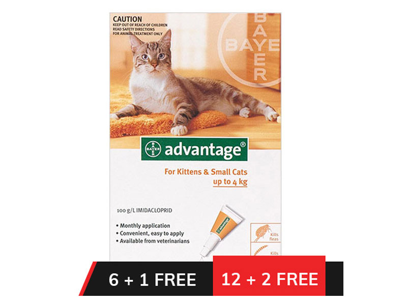 Advantage Kittens & Small Cats 1-10lbs