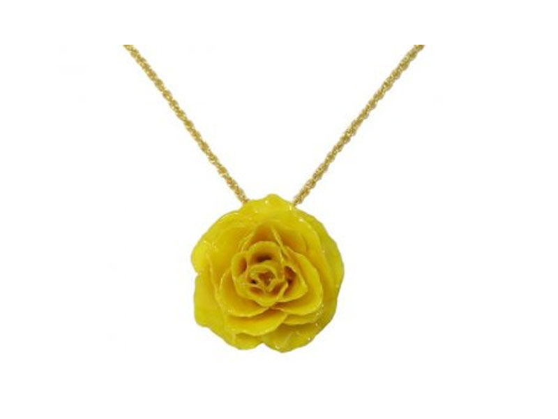 Women's Preserved Real Rose Pendant & 24k Gold Chain