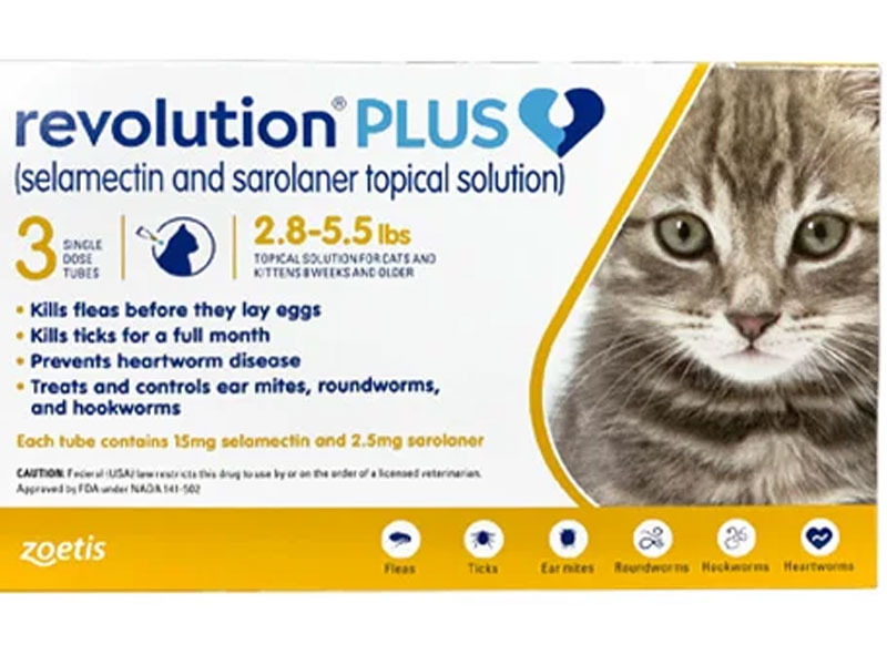 Revolution Plus For Cats