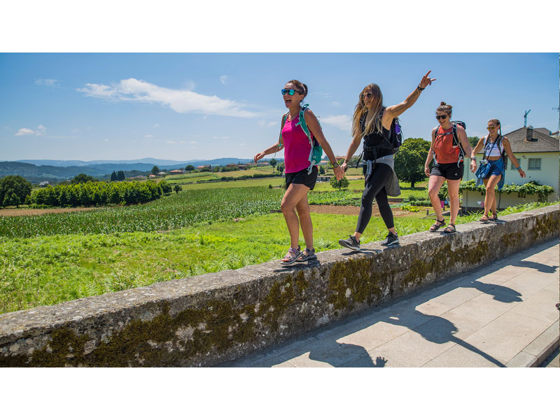 8 days Sarria to Santiago de Compostela Tour Package