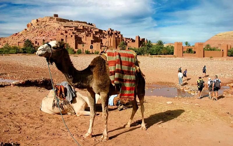 9 Night Vacation Packages Highlights Of Morocco