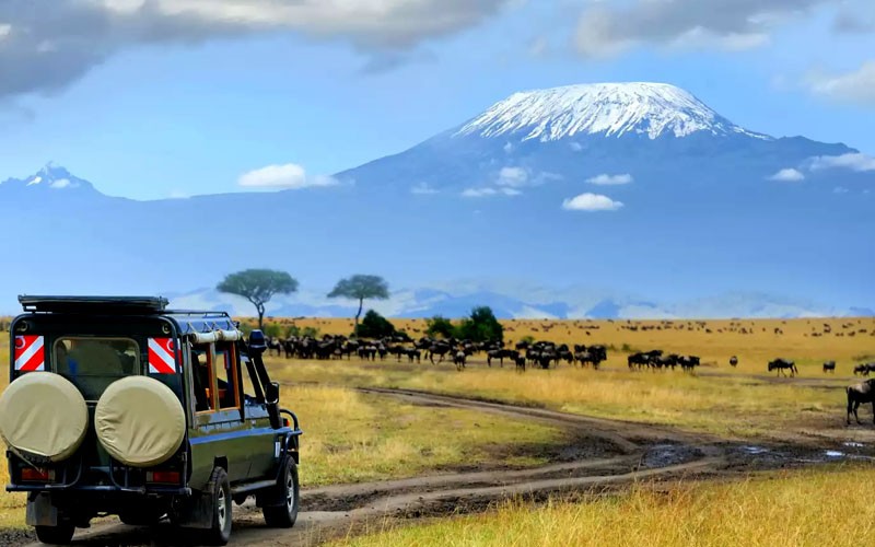 7 Nights Vacation Packages To Kenya 