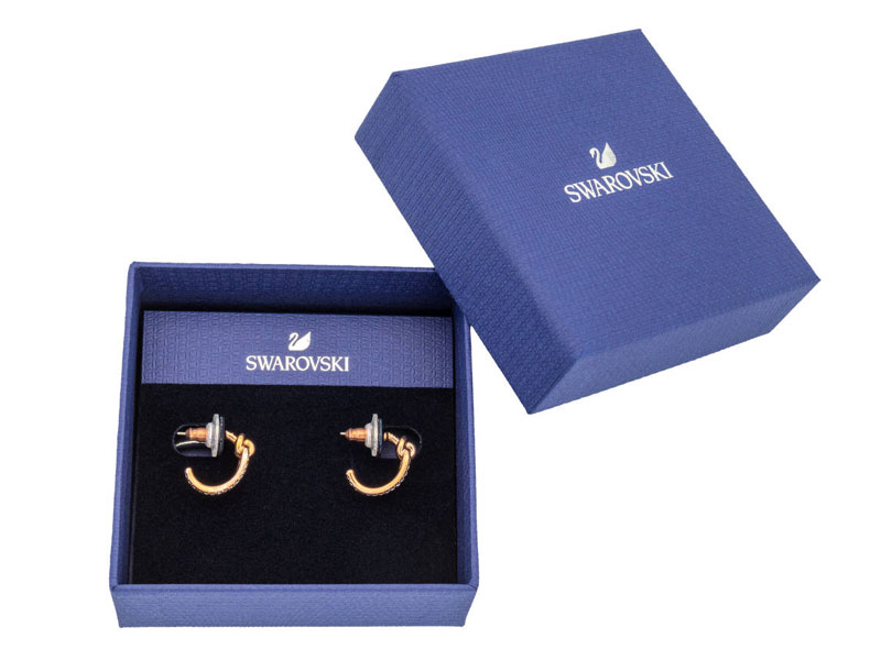 Swarovski Lifelong Women's Earring 5392920