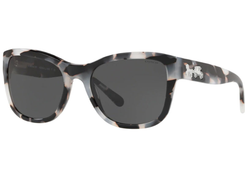 Coach Sunglasses For Women