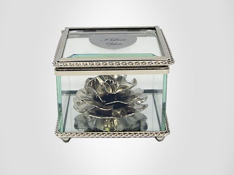 Heirloom Rose Flower in Glass Museum Case