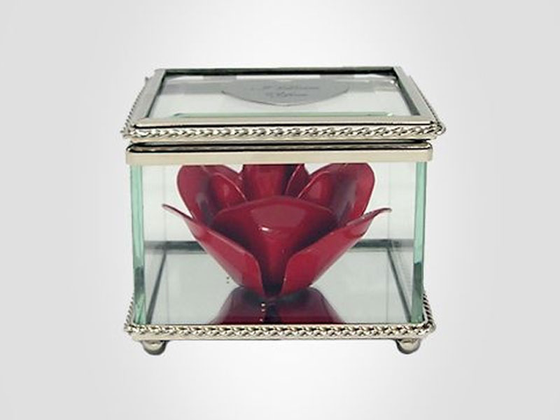 Large Heirloom Rose Flower in Glass Museum Case