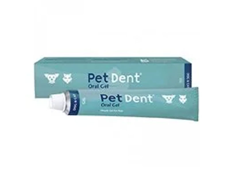 Buy Pet Dent Oral Gel