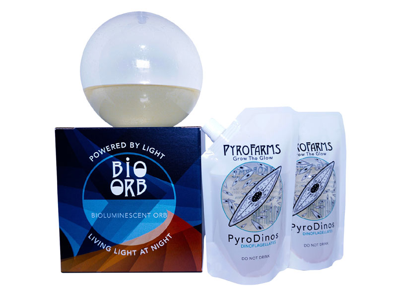 Pyrofarms Large Bioluminescent Bio-Orb