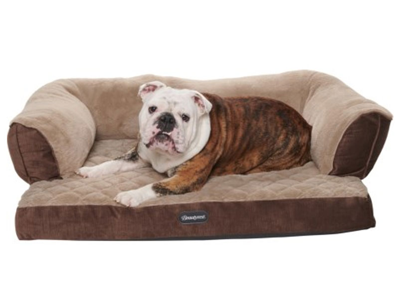 Beautyrest Super Lux Sofa Dog Bed