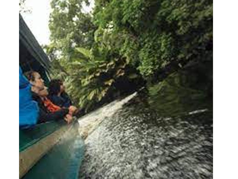 Costa Rica Adventure Plus 16 Days San Jose To San Jose Tour Package