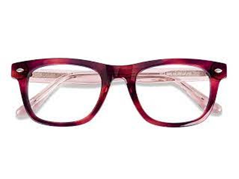 Norwood Horn Purple Pink Eyeglasses For Women