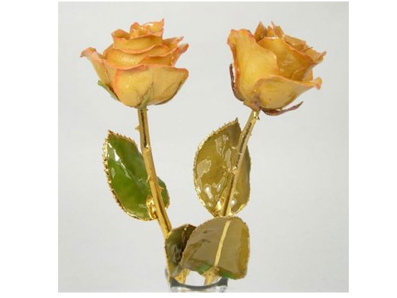 2 Gold Stem Anniversary Roses in Eiffel Tower Vase