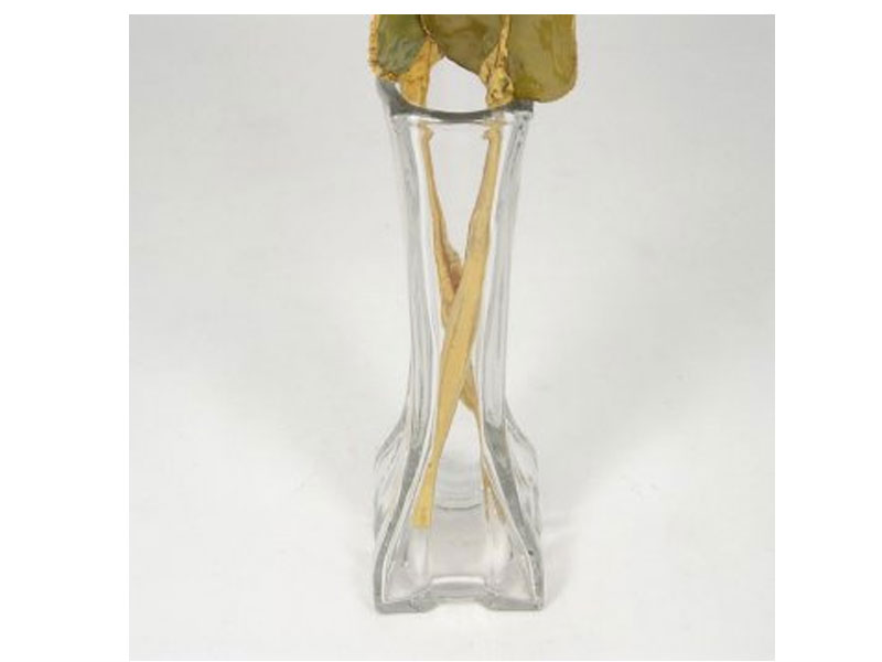 2 Gold Stem Anniversary Roses in Eiffel Tower Vase