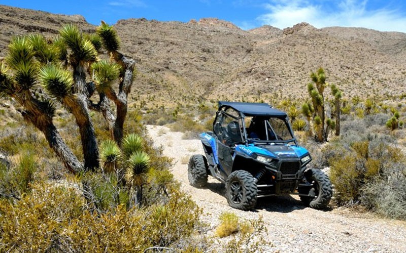 Off-Road RZR Drive Mojave Desert, Road Runner Adventure Las Vegas 2 Hours