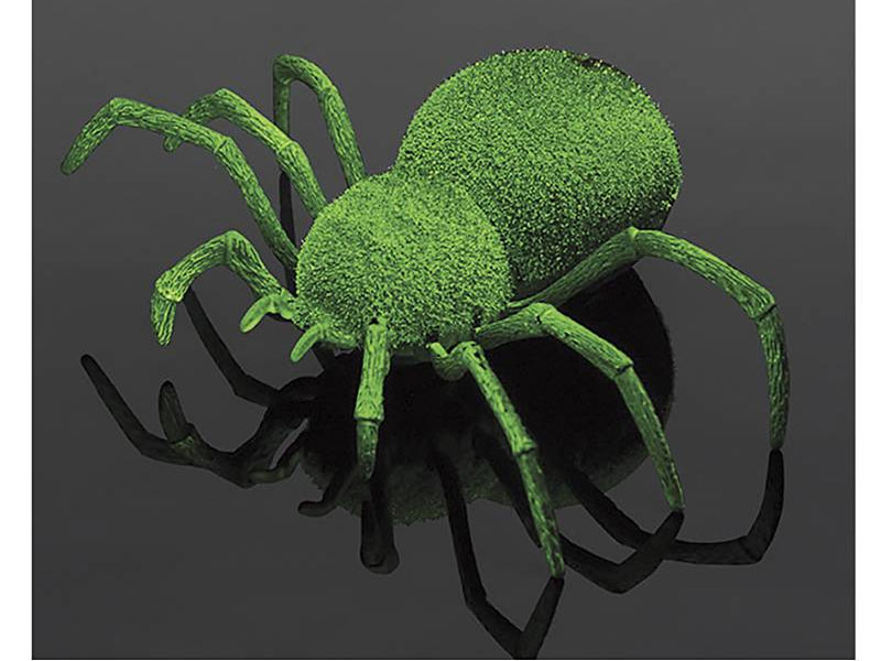 Glow in the Dark RC Arachnid