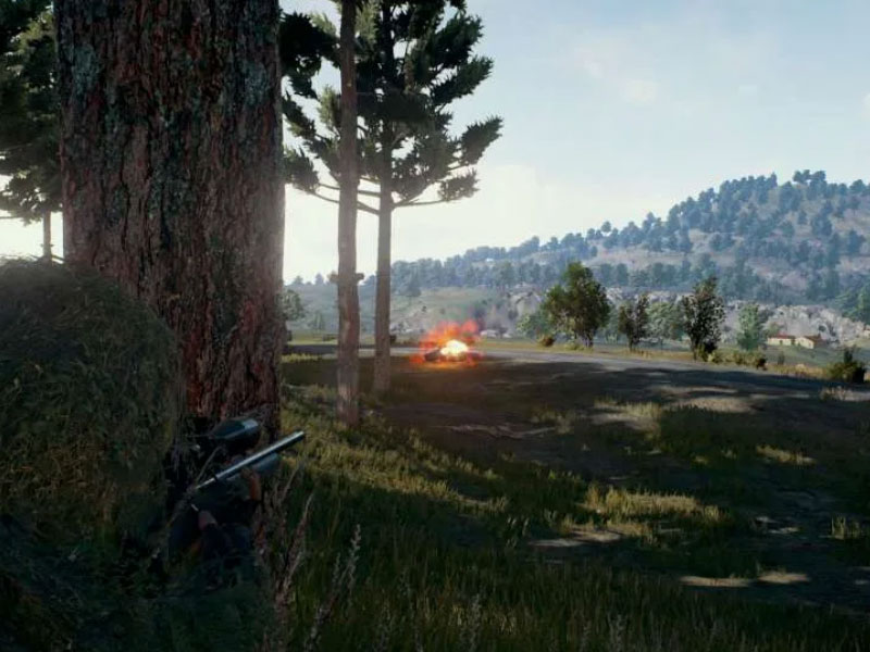 Buy Playerunknown's Battlegrounds Steam CD Key