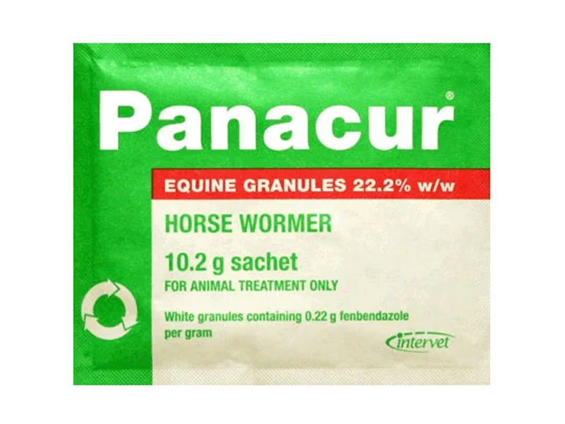Panacur Equine Granules For Horses