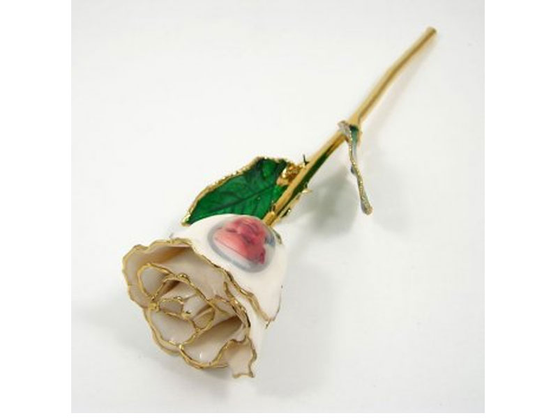 Catholic Gift Pope Francis 24k Gold Rose