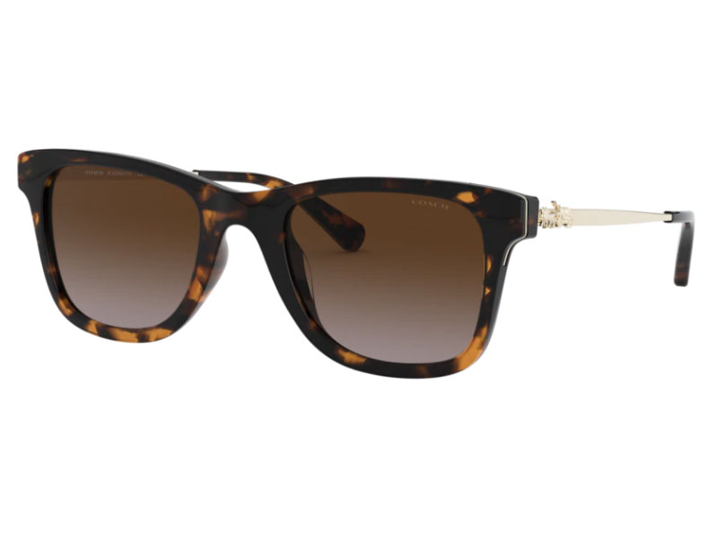 Coach Sunglasses For Women