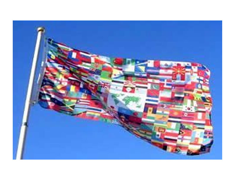 The World Flag