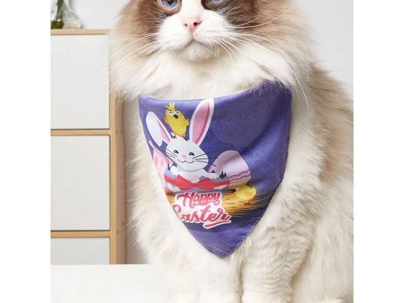 Cartoon Graphic Easter Pet Scarf