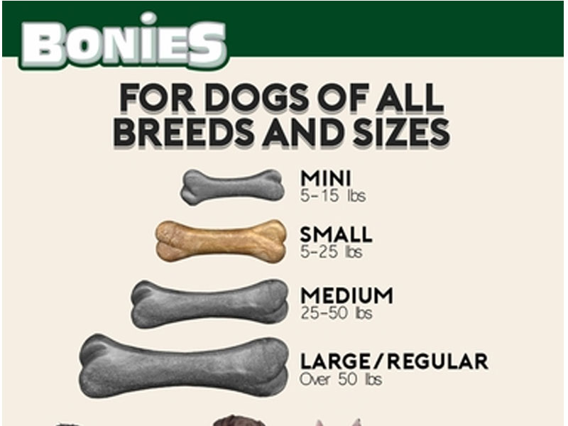 Bonies Skin & Coat Health Small Single Bone (0.81 oz)