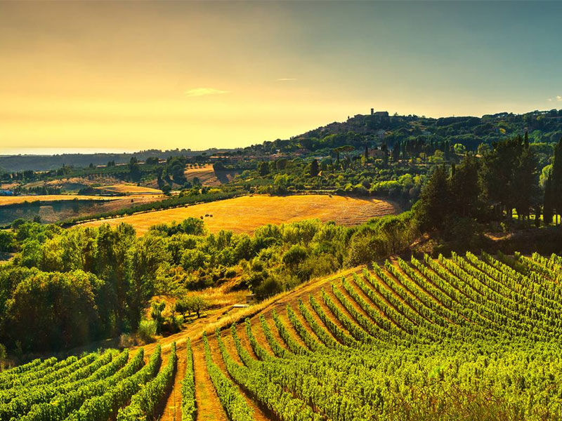 Private Gourmet Wine Tour in Tuscany Italy