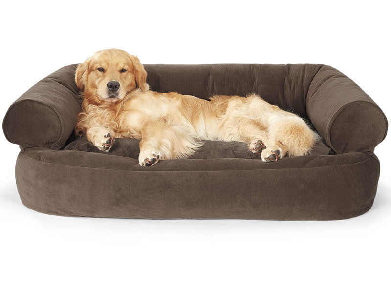 Luxx Double Donut Bolster Dog Bed