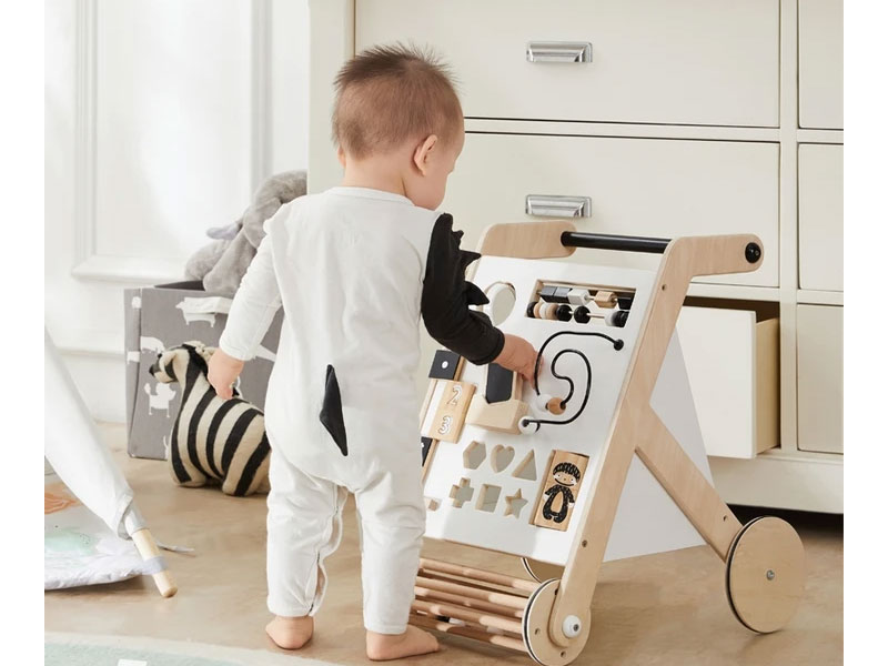 Wonder & Wise By Asweets Baby Activity Walker
